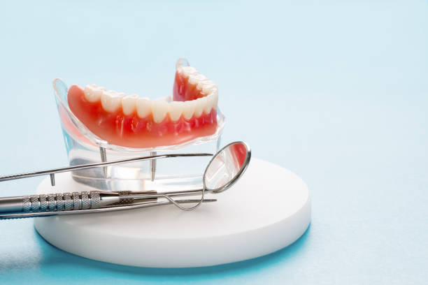 Best Full Mouth Reconstruction  in Terrell Hills, TX